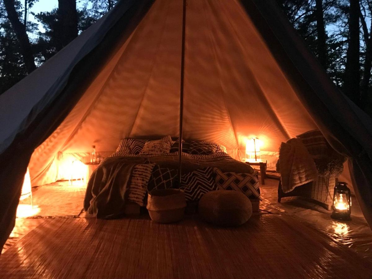 Forest Glamping Värmdö Екстериор снимка