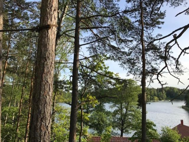 Forest Glamping Värmdö Екстериор снимка